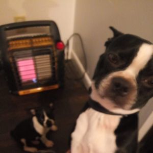 Meet your Posher, Lamar